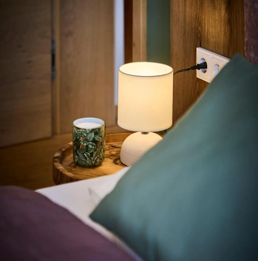 Apartment Hinterglemm Ski-In & Ski-Out Saalbach-Hinterglemm