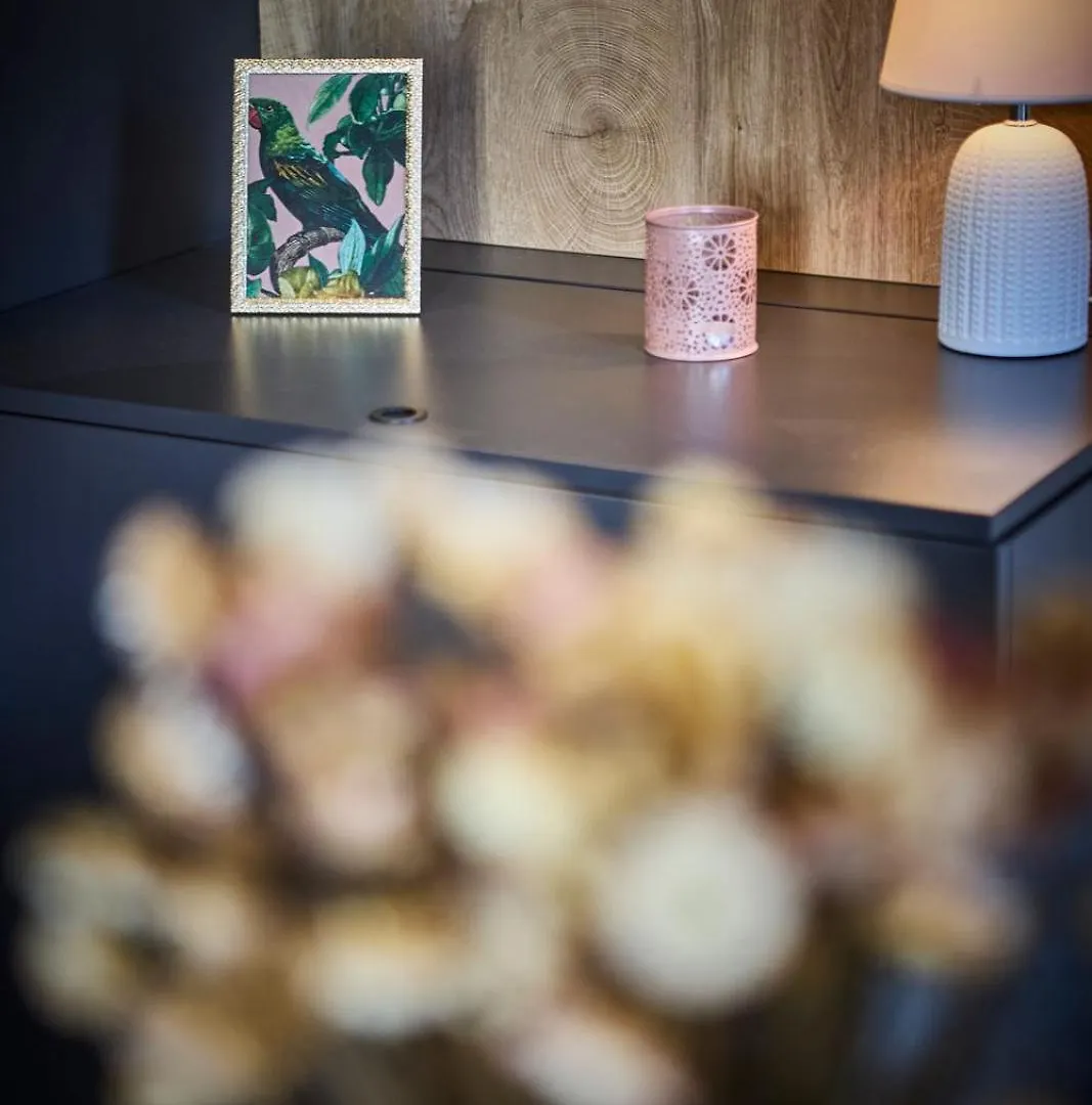 Apartment Hinterglemm Ski-In & Ski-Out Saalbach-Hinterglemm Austria